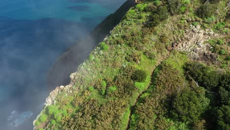 foto de un dron de un hombre joven, en forma y fuerte escalando espigao amorelo en maderia durante el verano