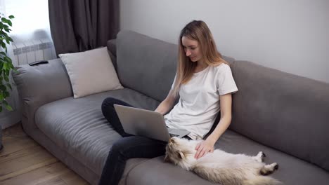 Blonde-woman-is-working-on-laptop-on-sofa-and-big-cat-is-laying-down-nearby,-she-caress-pet