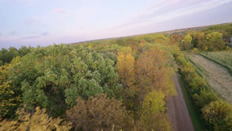 Fpv-Drone-Volando-Sobre-El-Dosel-De-Los-árboles-De-Otoño-Durante-La-Temporada-De-Otoño