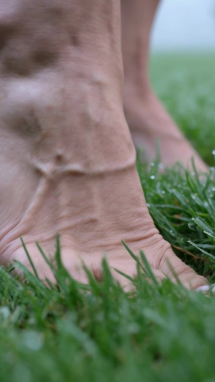 Vertical video: Applying weight, bare foot touching wet lawn, toes flattening pushing dew out