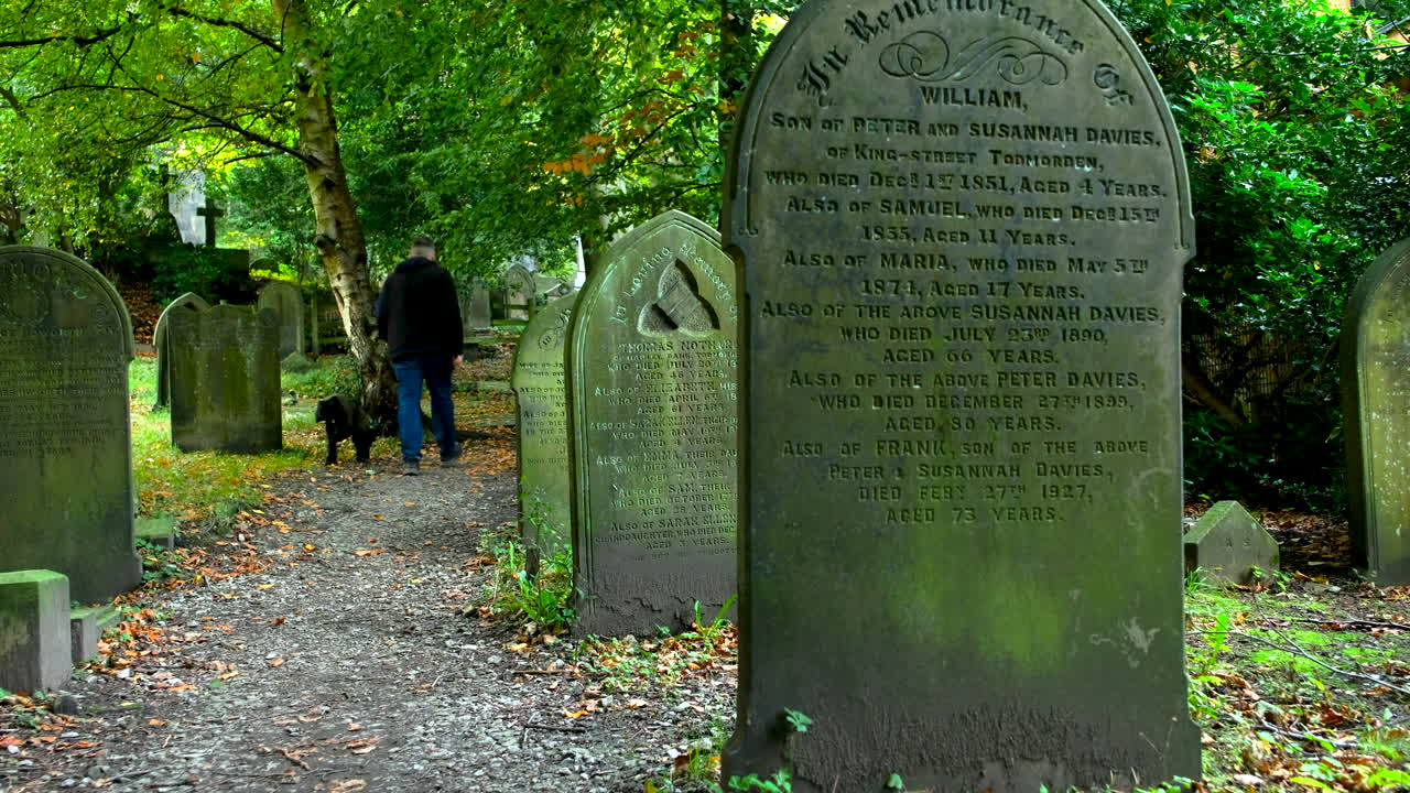 A man walks his black lurcher dog in a green jacket with a lead through a quiet church graveyard surrounded by autumn leaves