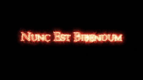 nunc est bibendum written with fire. loop