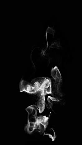 abstract white smoke particles on black background