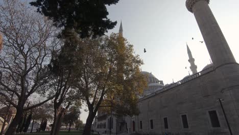 birds flying outside suleymaniye mosque, istanbul, turkey. look up view