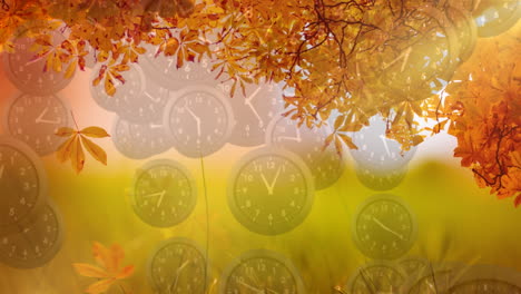 tree leaves with clocks falling down