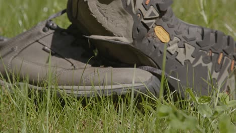 Dolly-out-of-worn-hiking-shoes-in-a-field-of-grass