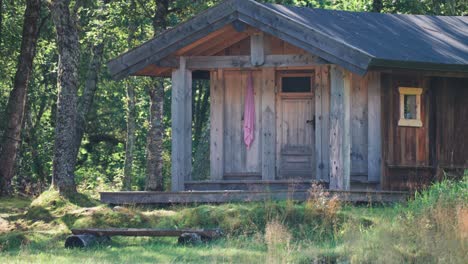 una pequeña cabaña de madera en el bosque