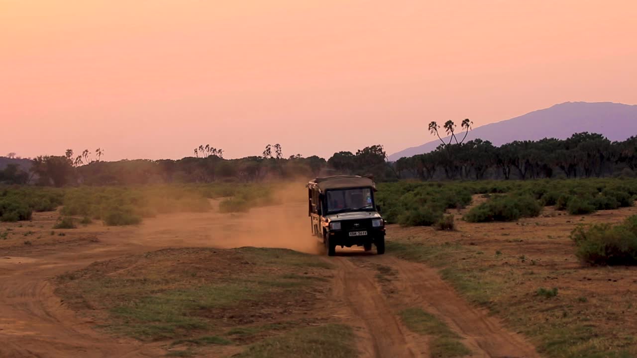 Safari jeep driving towards camera on a sandy and dusty dirt road creating dust cloud during warm sunset in the Serengeti in the African Savanna, Kenya