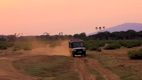 safari jeep driving towards camera on a sandy and dusty dirt road creating dust cloud during warm sunset in the serengeti in the african savanna, kenya