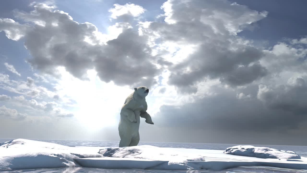 얼음 위 에 있는 북극