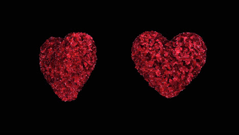 dos corazones de pétalos de rosa con el canal alfa