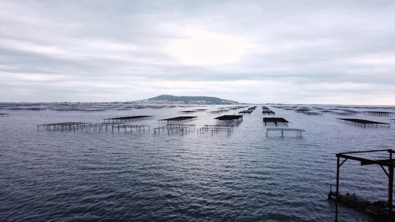 Opstigende droneoptagelse af Etang de Thau: høst og salg af østers, muslinger og hjertemuslinger i den franske provins Occitanien nær byen Sète