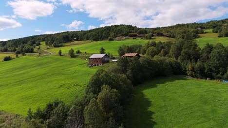 aerial view of lush green fields and dense forest in innlandet, norway