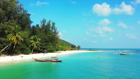 tropical beach background