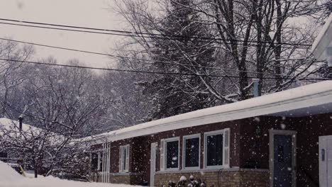 January-Snow-fall-in-early-year