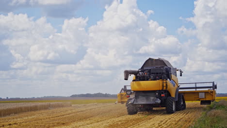 seasonal harvesting of wheat. agricultural machine collecting golden ripe wheat field