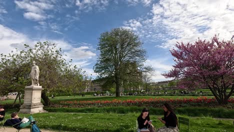 people enjoying a sunny day in a blooming park