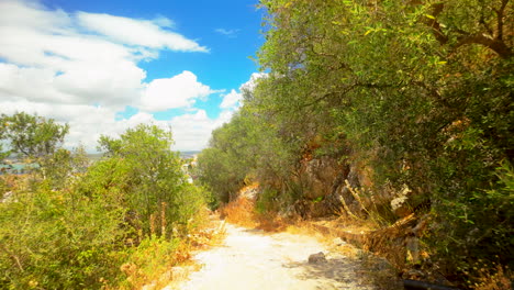 a scenic pathway surrounded by trees and greenery in gibraltar, leading down a hillside under a clear sky