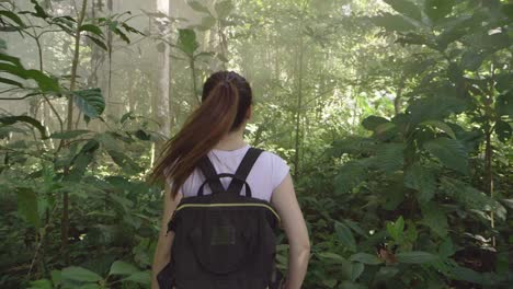 girl hiker walking in forest, slow motion