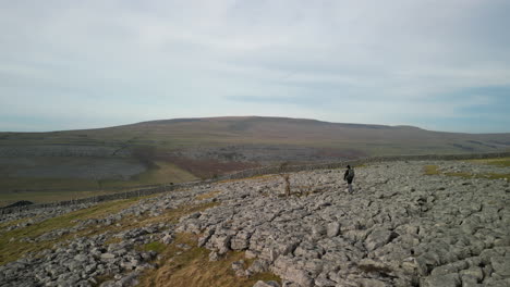 Hiker-walking-on-rocky-hilltop-in-English-countryside-at-Ingleton-Yorkshire-UK