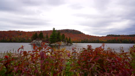 Sartén-De-Izquierda-A-Derecha-Con-Isla-En-Un-Pequeño-Lago-En-Otoño