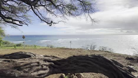 A-peaceful-coastal-scene-featuring-a-twisted-tree-trunk-and-branches-framing-the-azure-ocean