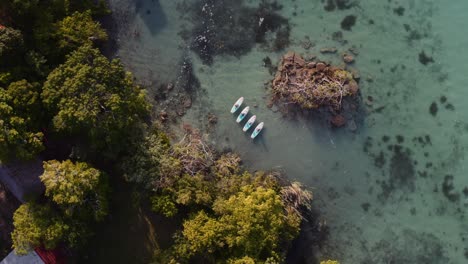 Vier-Personen-In-Badeanzügen-Dehnen-Sich-Und-Praktizieren-Yoga-Auf-Stand-up-paddle-boards-Auf-Dem-Türkisfarbenen-Wasser-Der-Laguna-De-Las-7-Colores-Von-Bacalar-In-Quintana-Roo-Mexico