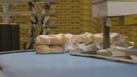 bollos de pan en envases de plástico rodando por una cinta transportadora