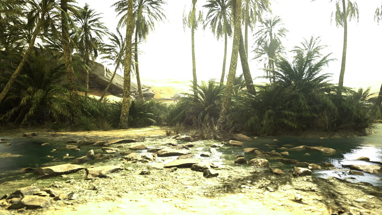 exuberante paisaje tropical con palmeras rocas y aguas serenas