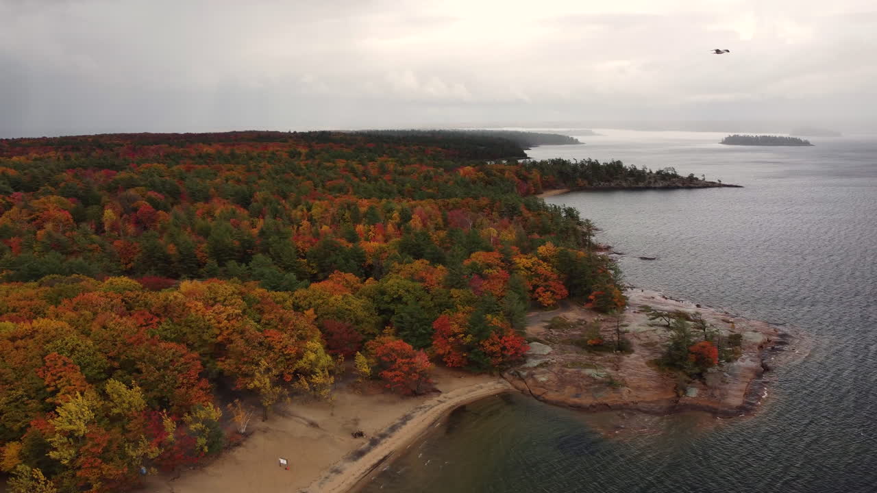 toma de drones de un hermoso e impresionante bosque natural y playa en un parque nacional durante el otoño