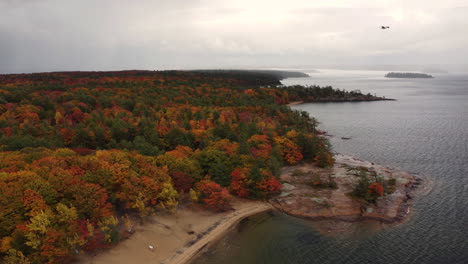 Drone-shot-of-a-beautiful-and-stunning-natural-forest-and-beach-in-a-national-park-during-fall