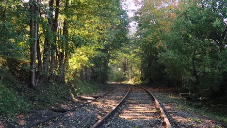 old train tracks in the forest during fall with the sun shining through the trees