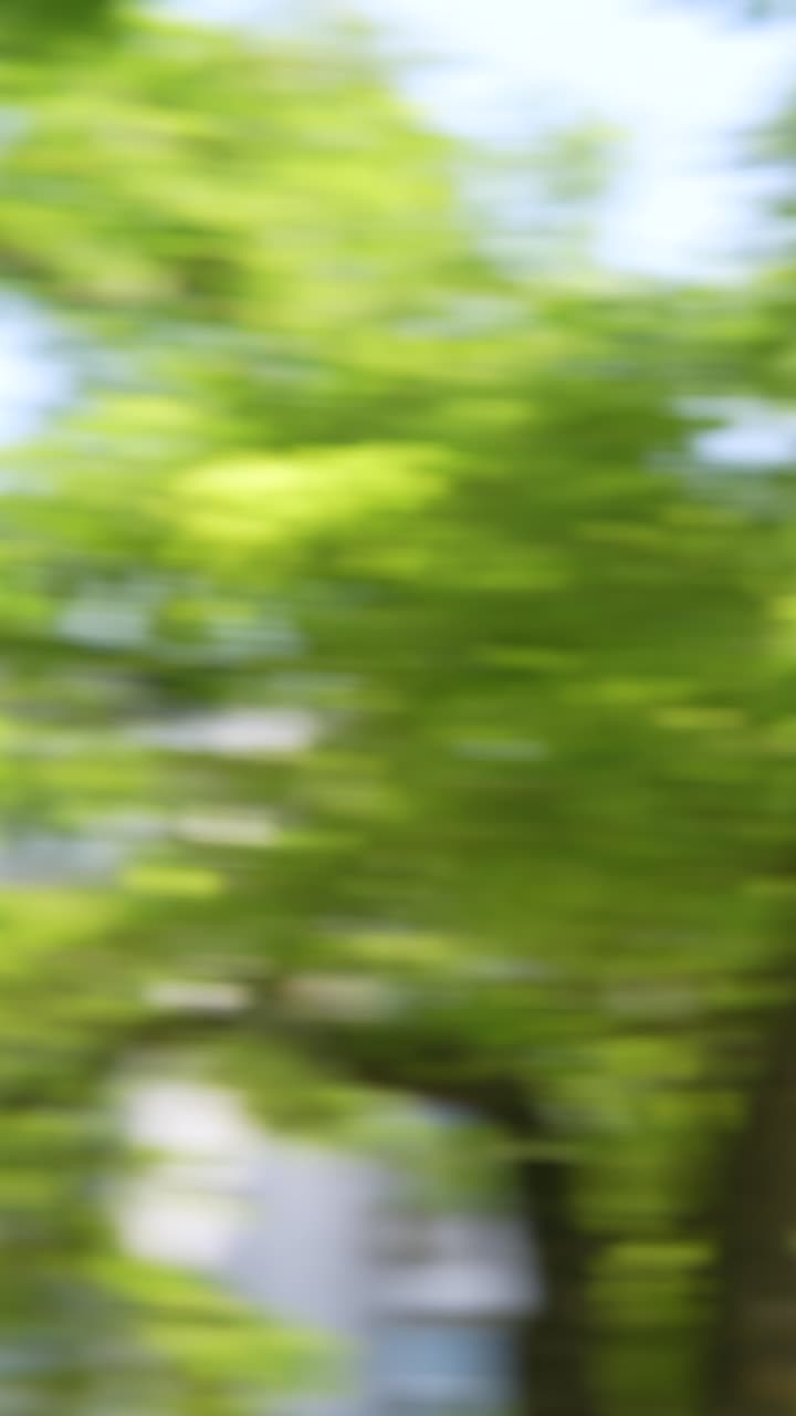 árboles verdes borrosos