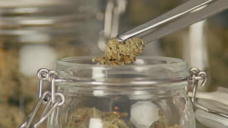 marijuana bud trimming and storage