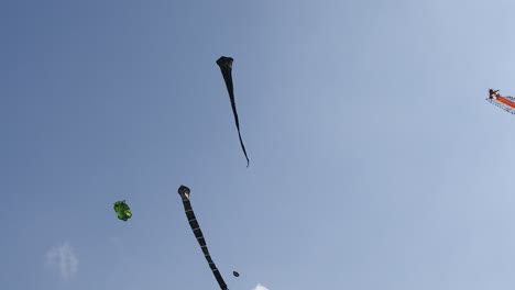 competencia de cometas en el cielo