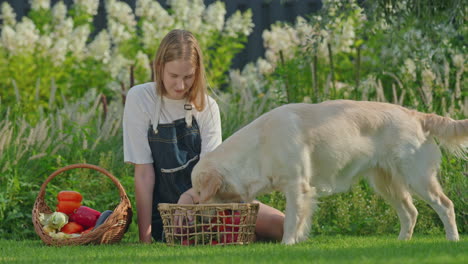 woman and dog in a garden with vegetables