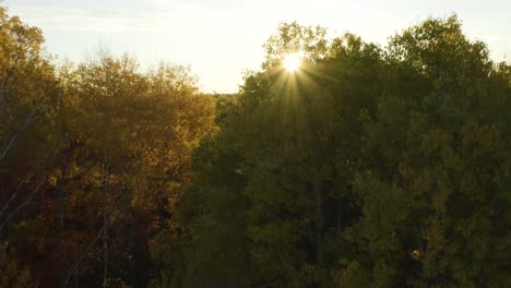 aerial, dark road in woods pedestal up to reveal colorful wilderness area