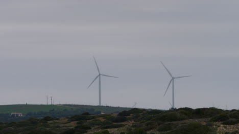 molinos de viento en el campo