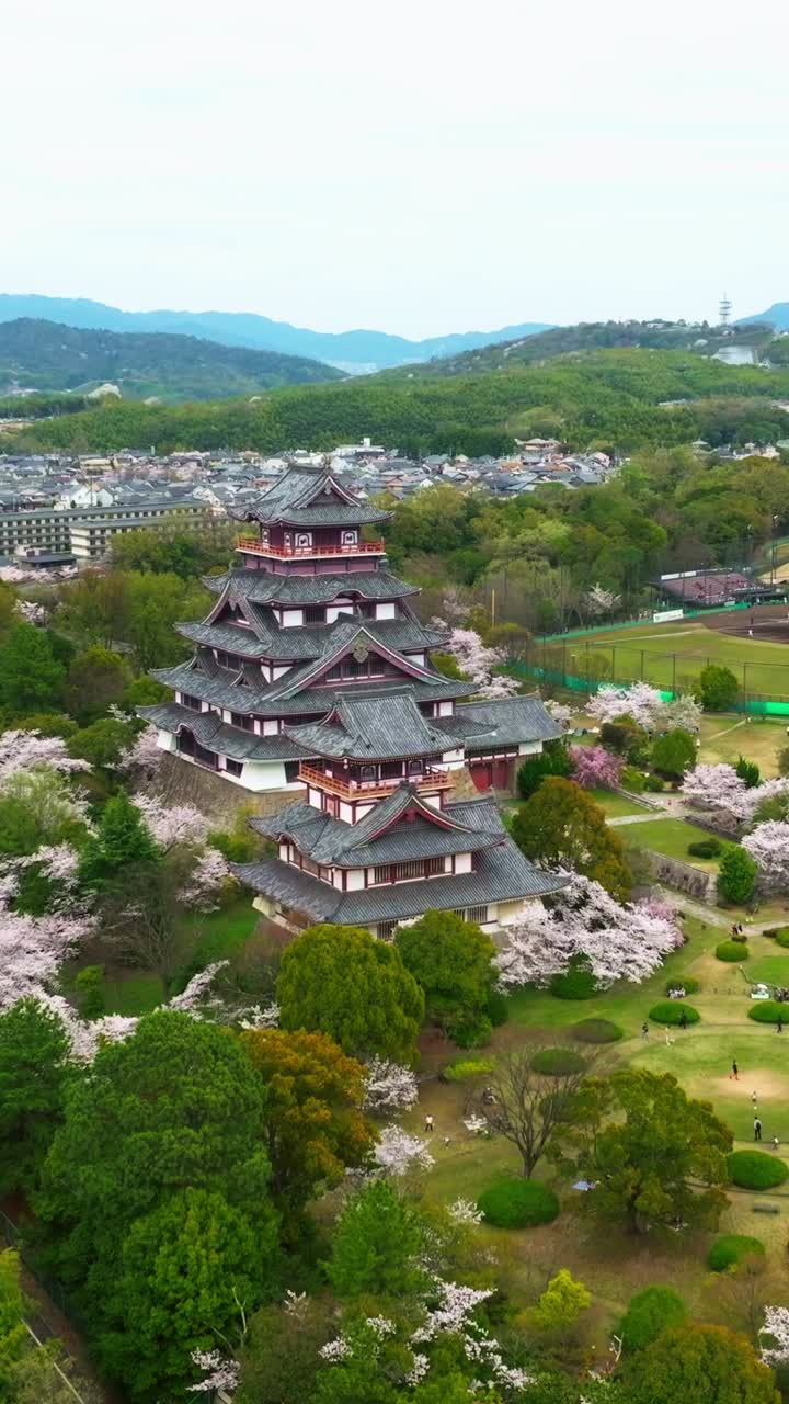 Sorvolo aereo verticale tempio giapponese circondato da alberi di ciliegio Sakura rosa in fiore