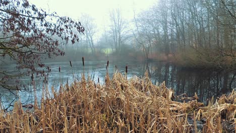 Blickwinkel-Auf-Einen-Kleinen-Zugefrorenen-Teich,-Der-Mit-Eisschrot-Bedeckt-Ist