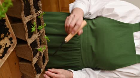 mujer irreconocible preparando el suelo para plantar plántulas