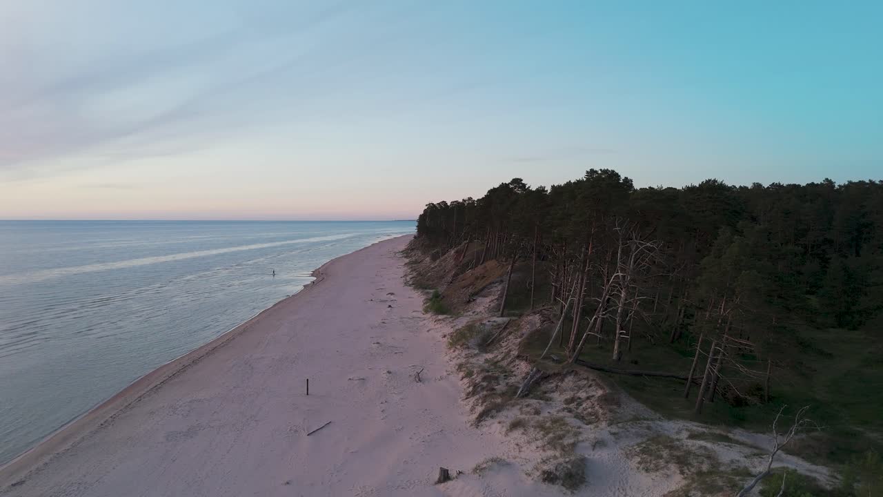 Luftfoto i fugleperspektiv af Østersøkysten på en solskinsdag, klitter ved kysten beskadiget af bølger, knækkede fyrretræer, kysterosion, klimaforandringer, vidvinkel droneoptagelse