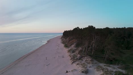 vista aérea a vista de pájaro de la costa del mar báltico en un día soleado, dunas costeras dañadas por las olas, pinos rotos, erosión costera, cambios climáticos, toma de drone de gran ángulo