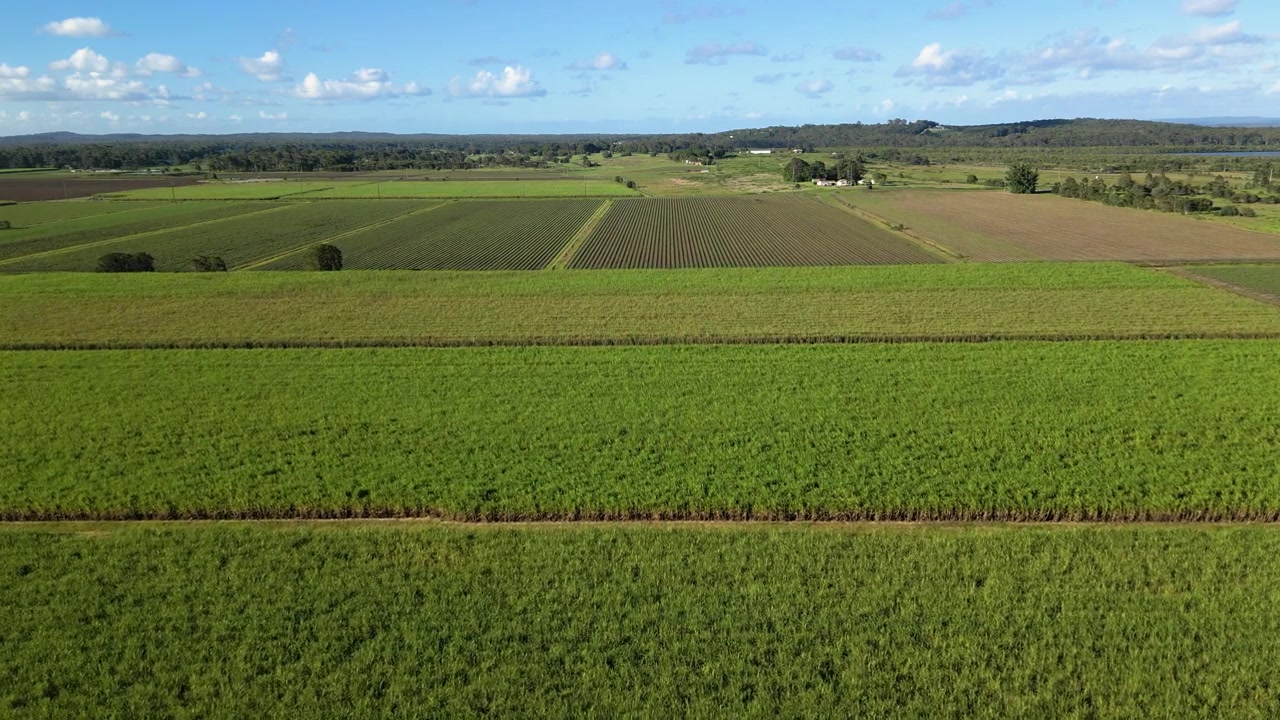 Forward moving aerial views over sugar cane farms in South East Queensland, Australia