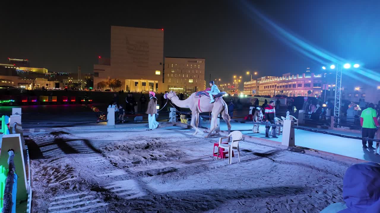 Camel Performance at Night in a City