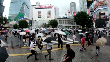 시부야 시내의 유명한 보행자 교차로를 가로지르는 사람들의 4k 타임 스