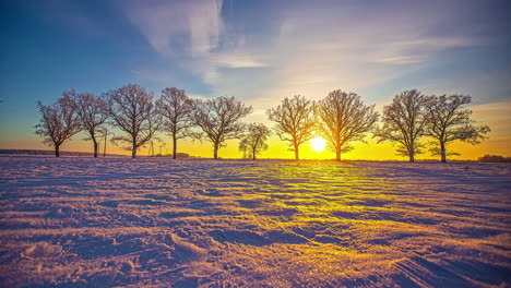 una puesta de sol espléndidamente colorida una fila de árboles cubiertos de escarcha con el sol proyectando sombras a través de un campo nevado - lapso de tiempo