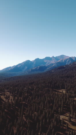 aerial view of a mountainous forest