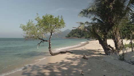 tropical-beach-with-exotic-tree,-turquoise-water-and-white-sand,-Kae-Bea,-Koh-Chang