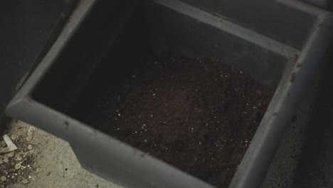 verter el suelo en una olla para trasplantar la planta - de cerca